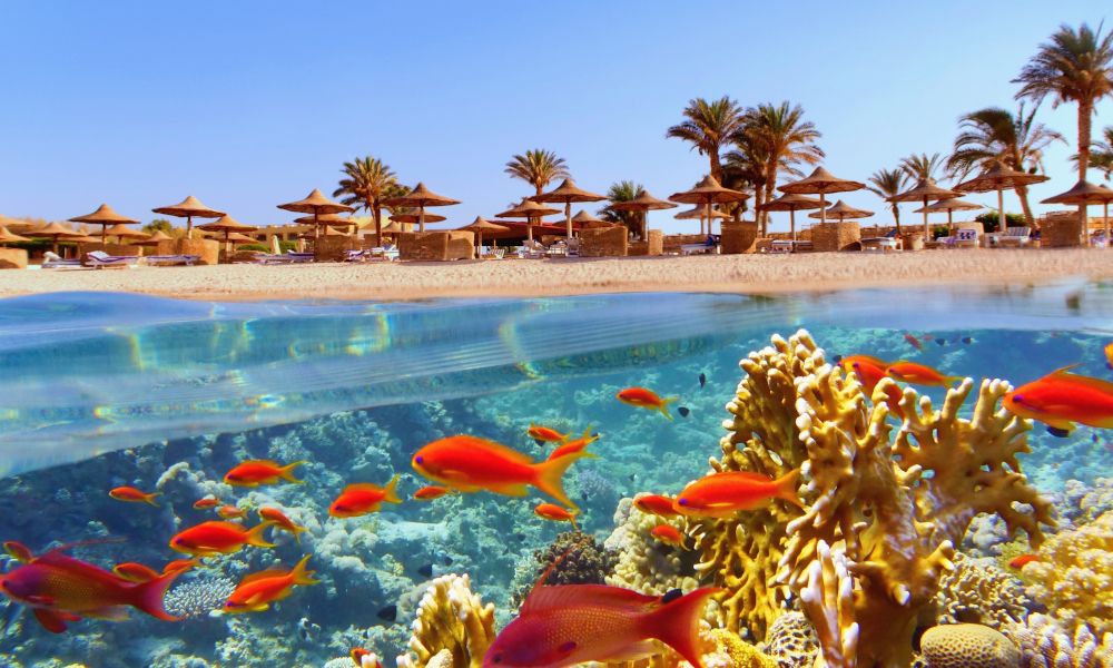 Egypt: Marsa Alam