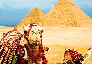 /api/cms/uploads/egypt_mob_2_08e5bd5a27.jpeg